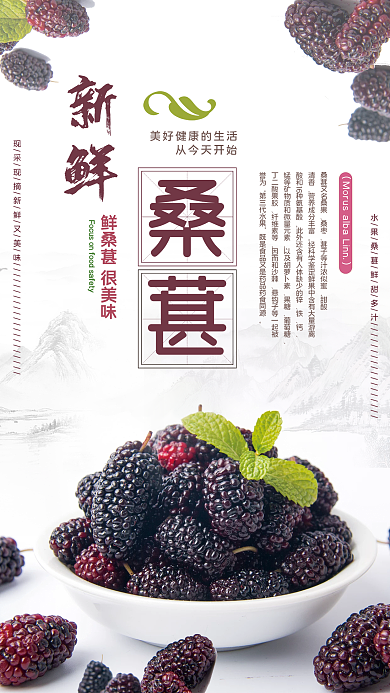 桑葚水果促销美食宣传海报