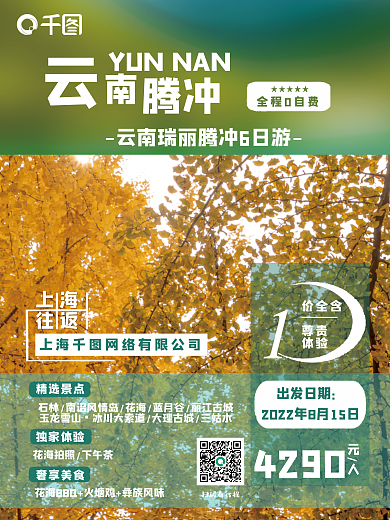 云南腾冲旅游赏银杏