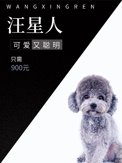 狗狗促销海报汪星人