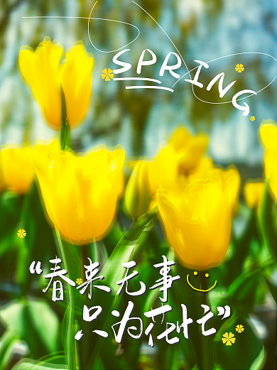 简约ins春天春游春季郁金香小红书配图