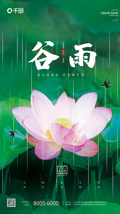 谷雨节气荷花下雨墨绿色湖泊燕子小清新海报