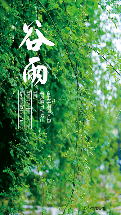 蓝色简约大气谷雨节气海报