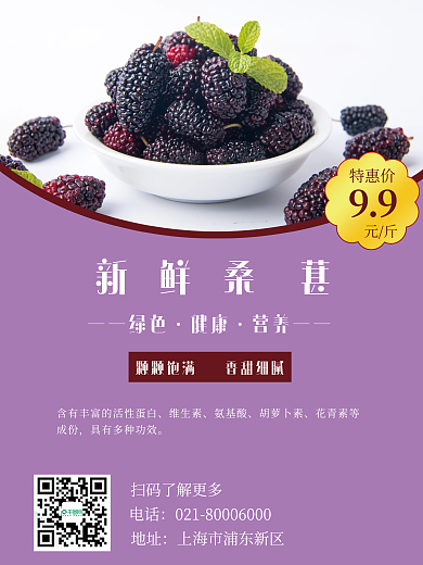 桑葚特价促销海报