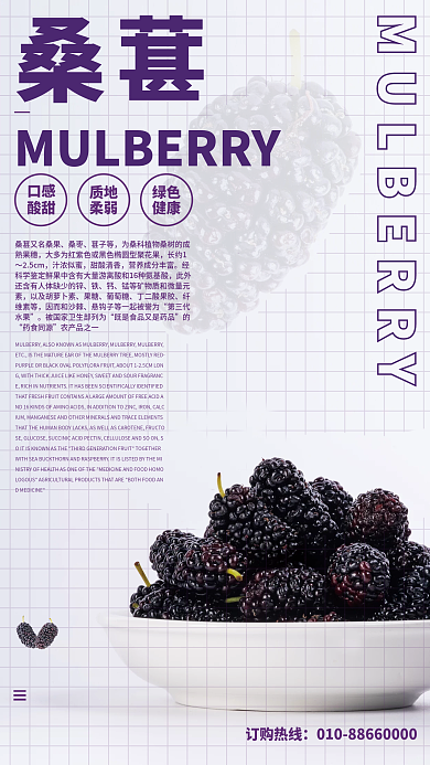 简约美味桑葚海报