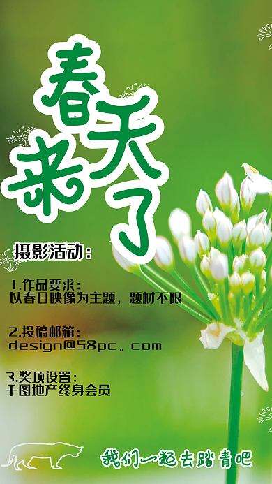 春日大赏摄影活动海报