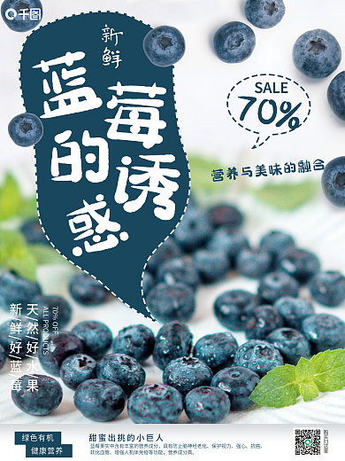 水果蓝莓清销售海报