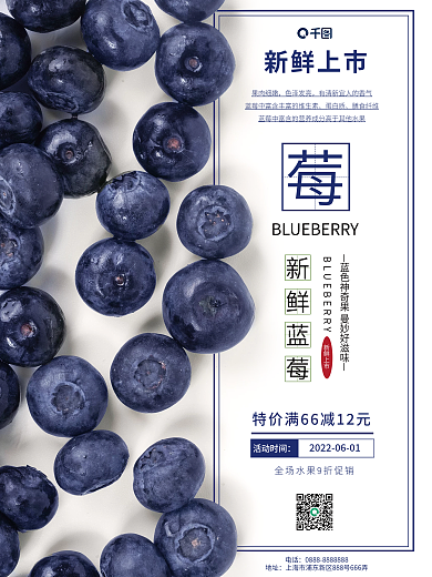 新鲜蓝莓销售宣传海报