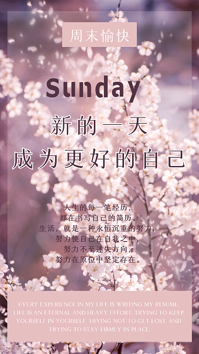 粉色早安日签正能量文艺简约樱花海报