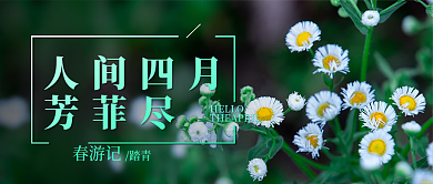 风景雏菊四月你好公众号封面