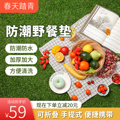 电商淘宝绿色春天踏青装备野餐垫主图直通车