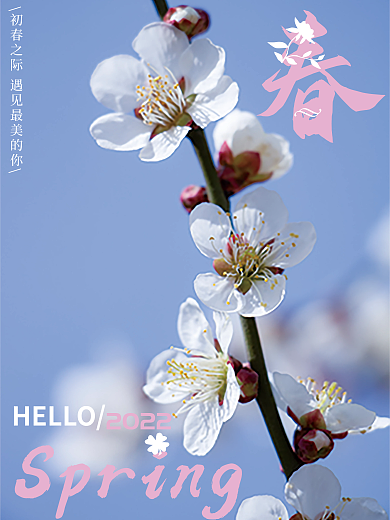 小清新简约风初春之际海报
