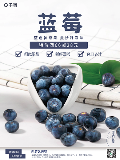 水果小颗蓝莓海报