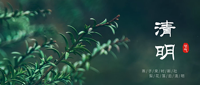 简约文艺小清新清明节公众号首图封面