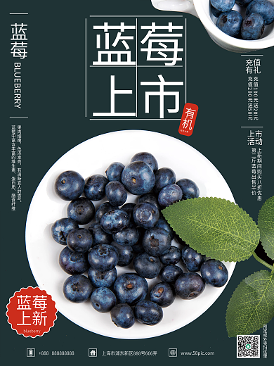 蓝莓上新销售海报