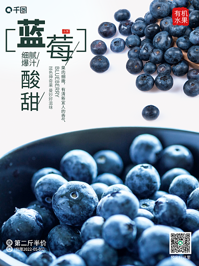 有机蓝莓水果销售海报