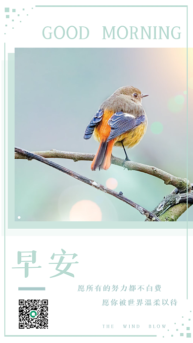 简约小清新小鸟正能量日签励志朋友圈早安