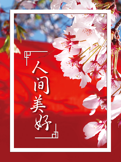 春日桃花人间美好红墙小红书plog