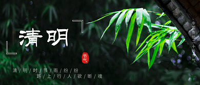 简约文艺清新清明节摄影图公众号封面