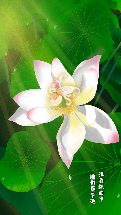 原创手绘荷花与精灵