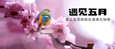 遇见五月你好花鸟阳光公众号封面