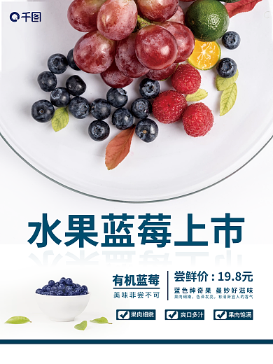 白底清新款蓝莓销售海报