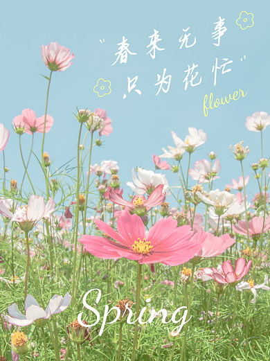日系文艺春日春天春季花海氛围感plog