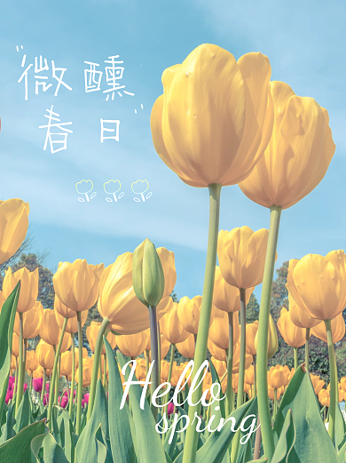 小红书文艺范春日春天春季氛围感plog