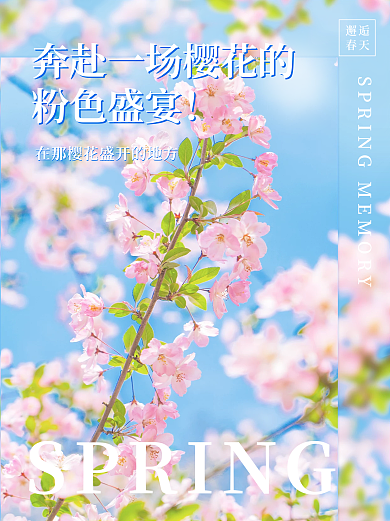 文艺范春日氛围感Plog小清新