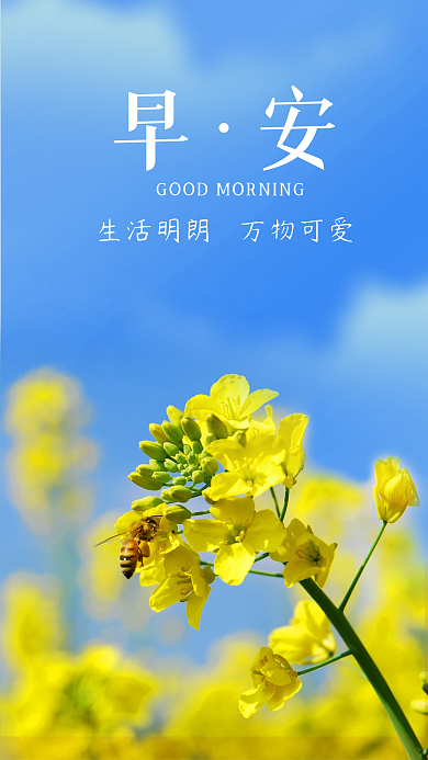 春天油菜花简约早安问候朋友圈日签手机海报