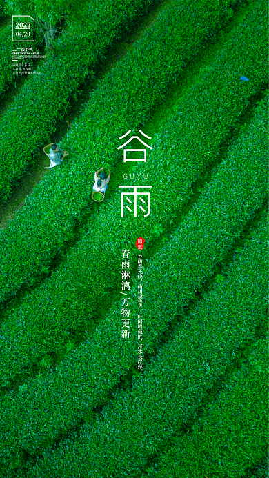 绿色简约谷雨二十四节气手机海报
