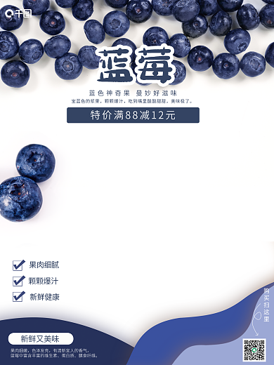 纸立蓝莓销售海报