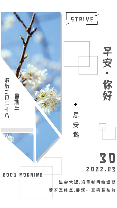 清新简约你好早安努力节日海报