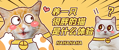 养一只很胖的猫是什么体验热点公众号封面