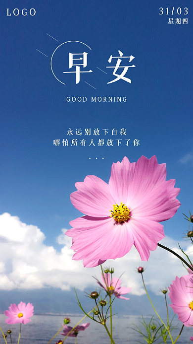 春天格桑花简约早安问候朋友圈日签手机海报
