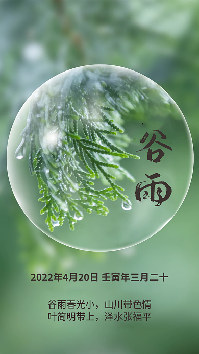 透明气泡绿色谷雨节气海报