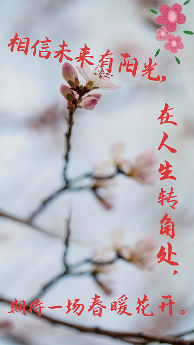 春暖花开积极向上
