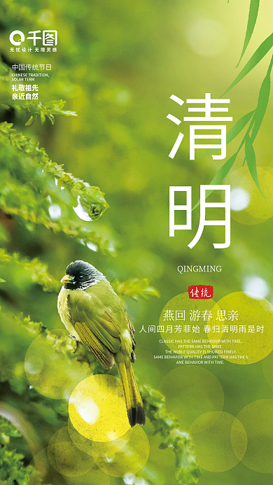 简约小清新雨季小鸟清明节传统节日海报
