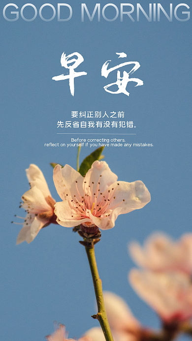 春天桃花简约早安问候朋友圈日签手机海报