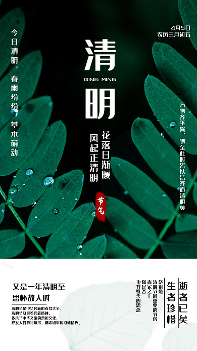 中国传统节日二十四节气清明节海报