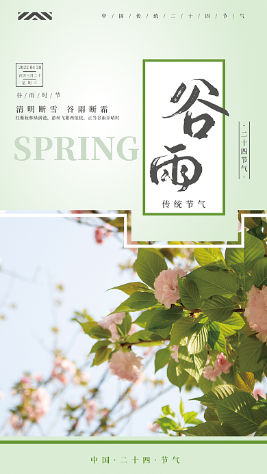 二十四节气谷雨春天樱花简约海报