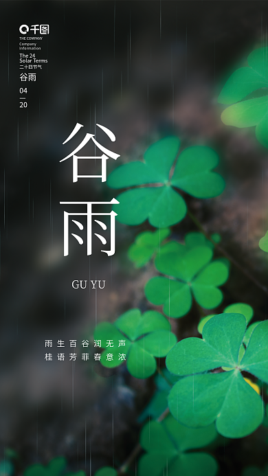简约小清新谷雨节气节日摄影图海报