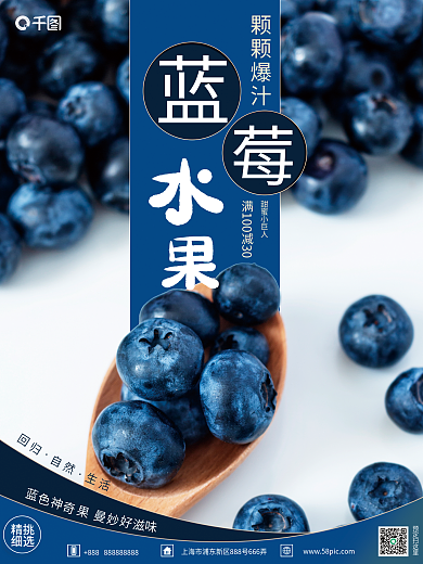蓝色调蓝莓宣传销售海报