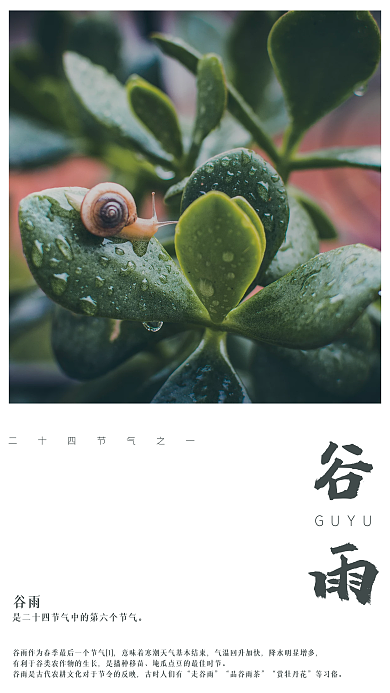 24节气谷雨海报朋友圈