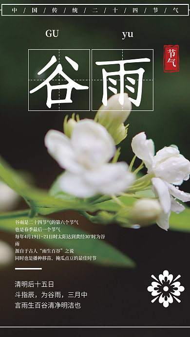 二十四节气谷雨春天白花简约海报