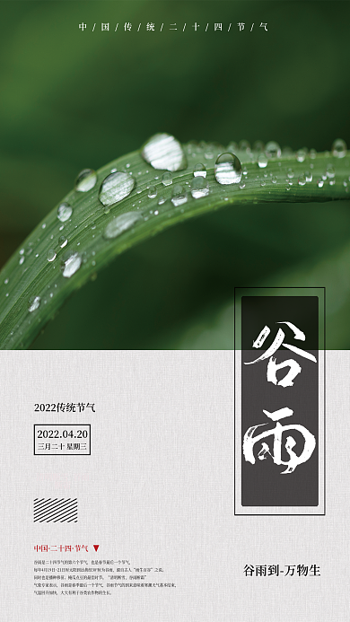 二十四节气谷雨节气雨滴简约海报