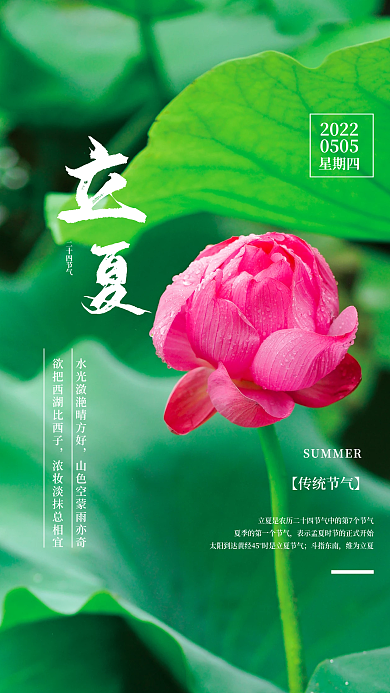 二十四节气立夏荷花荷叶简约海报