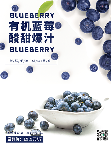 绿色蓝莓销售海报