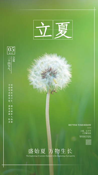 二十四节气立夏蒲公英绿色草地简约海报