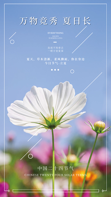 二十四节气立夏菊花花瓣简约海报