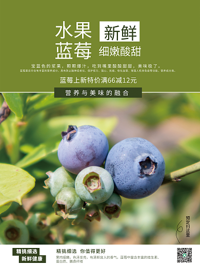 绿色系列蓝莓销售海报